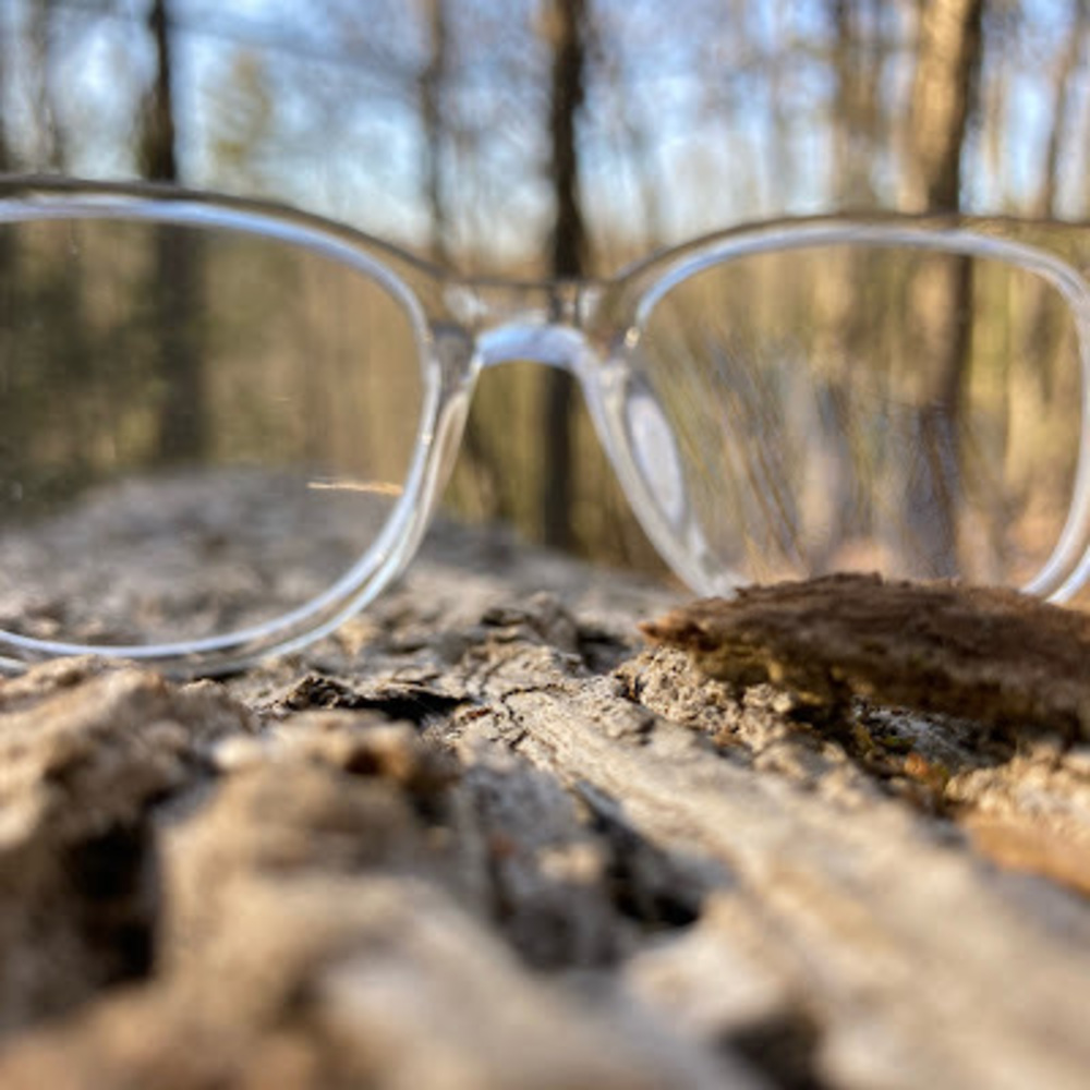 Meet your Posher, Avianna